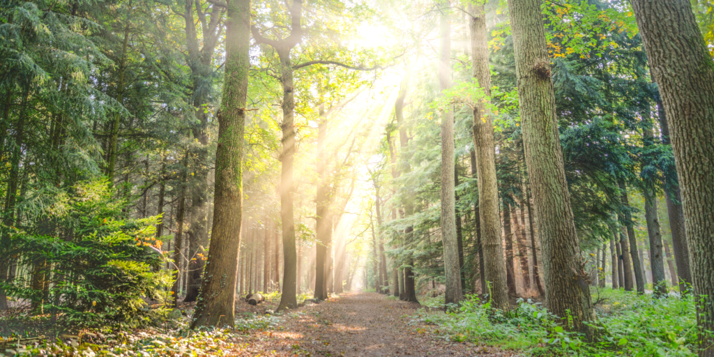 Walk and Talk therapy in Timmins